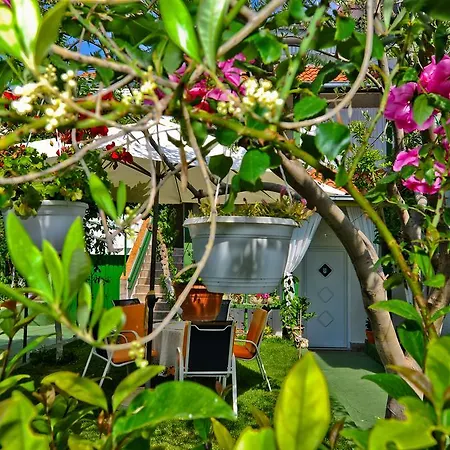 And Anika 3* زادار