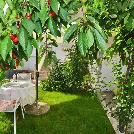 Bed & Breakfast And Anika Zadar